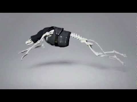 Skrillex - Puppy (Kraysh Extended Edit)