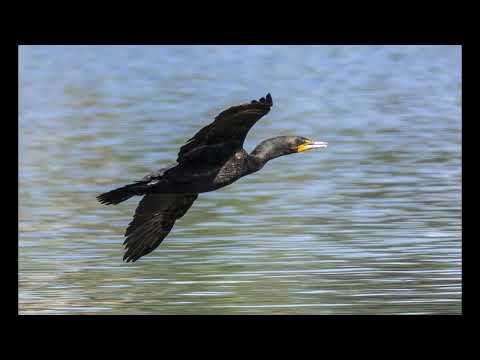 text_to_speech_20250419213144