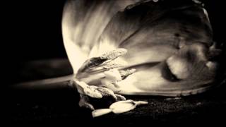 Loss Of Self_ The Inheritance