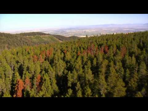 התכלית המפתיעה של החיים - קטע מרגש של הפילוסוף אלן ווטס