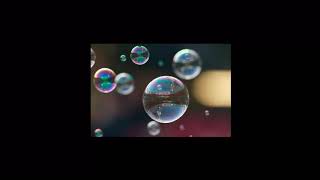 Hippo Campus - “Bubbles” (Lyric Video)