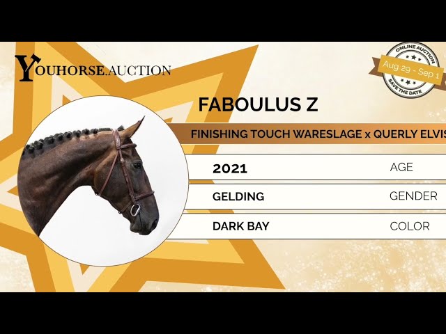 Faboulus showvideo