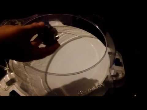 Wild wyvern vs. obelisk odin