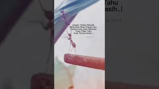 Download lagu story'wa #storysedih #viralstory #story30detik #story #storykekinian mp3