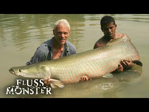Mörder aus dem Amazon: Ein Dinosaurier lauert in der Tiefe | S1 E04 | Fluss Monster