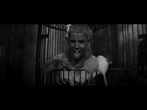 little guy in die antwoord videos little guy in die antwoord videos