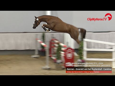 Hengst v. Kannan - Emerald van het Ruytershof - Caretino