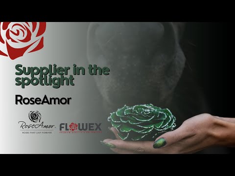 Flowex supplier in the spotlight: RoseAmor