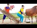 Very Special Trending Funny Comedy Video 2023😂Amazing Comedy Video 2023 Episode 237 busyfun