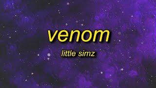 Little Simz - Venom (Lyrics) | it&#39;s a woman&#39;s world so to speak venom