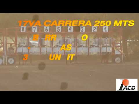 BORRACHITO HIPODROMO PANGARE 20 02 2022