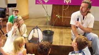 St Michael Lutheran Church Monarch Butterfly Event - NewsSpot Story