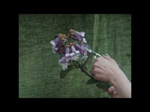 Video thumbnail for You'll Never Know