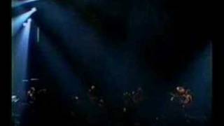 Phish - 11.16.95 - Timber (Jerry)