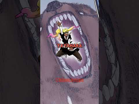 Algumas curiosidades de Bleach #2 #bleach #bleachanime #curiosidades #anime #ichigo