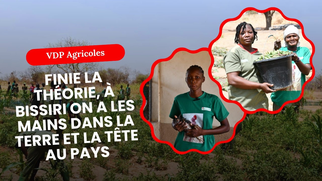 VDP Agricoles : Finie la théorie, à Bissiri on a les mains dans la terre et la tête au pays