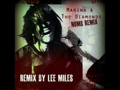 Marina & The Diamonds 'Numb' Remix By: Lee Miles