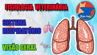 Sistema respiratório - Visão geral - Fisiologia veterinária - Aula 1