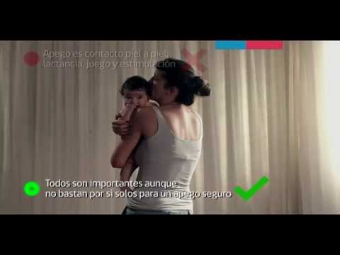 Apego Seguro