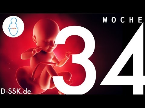 34. SSW / 34. Schwangerschaftswoche ✪ D-SSK.de
