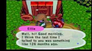 UKGN10th Anniversary - Animal Crossing [GameCube]