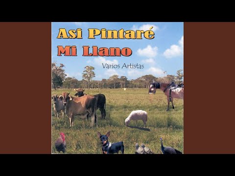 Así Pintaré Mi Llano