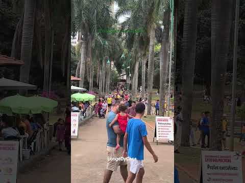 zoológico de Goiânia - GO #longedycasa