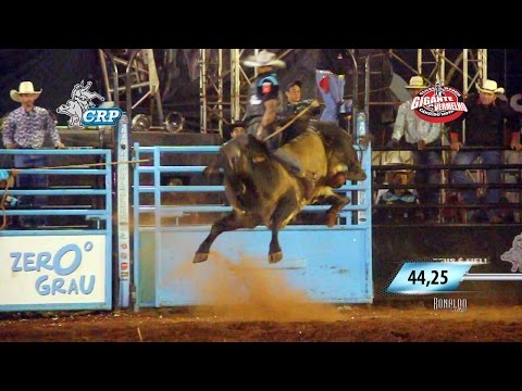 Rodeio de Cândido Mota 2016 - MELHORES TOUROS / SÁBADO