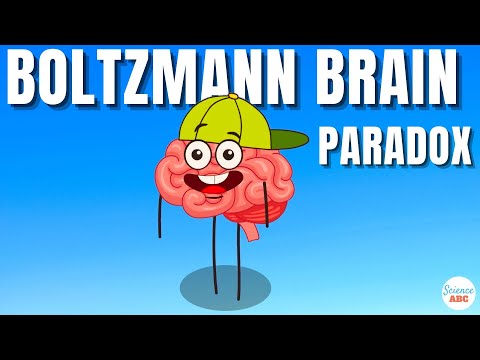 Boltzmann Brain Paradox Explained in Simple Words