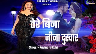 तेरे बिना जीना दुश्वार हो गया | Tere