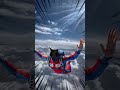Bongo skydiving ￼