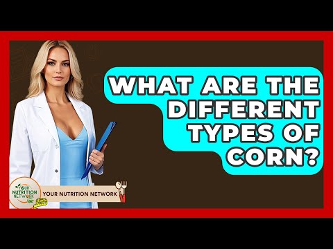 What Are The Different Types Of Corn? - Your Nutrition Network