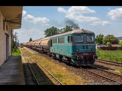 Concert de fluiere / Whistle concert / Pfiff konzert