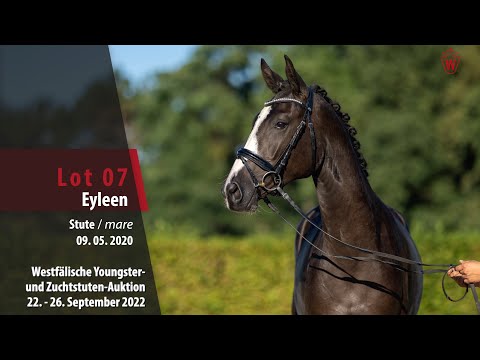 Online-Auktion Lot 07 Eyleen Stute v. Escamillo - Danone I