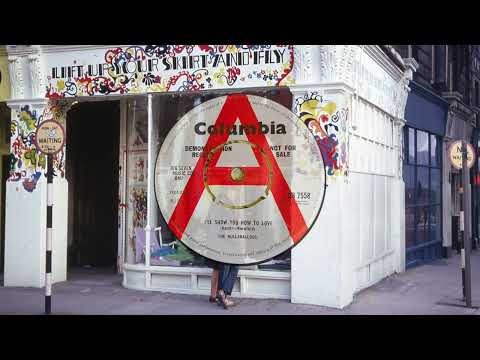 The Hullaballoos -  I'LL SHOW YOU HOW TO LOVE (1965)