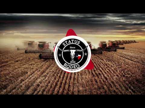 Eu vou Lutar, Vou persistir PRECE 🃏- Pedro Sampaio, MC Thiago (SR)