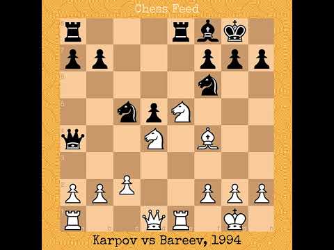 Anatoly Karpov vs Evgeny Bareev, 1994 #chess #chessgame #checkmate