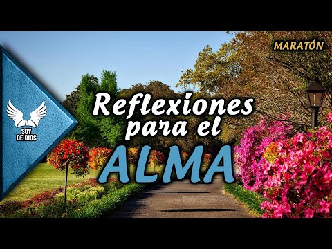 Prueba Estas Palabras - Reflexiones Del Alma