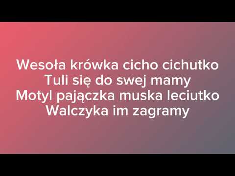 Kicia Kocia - kołysanka - tekst