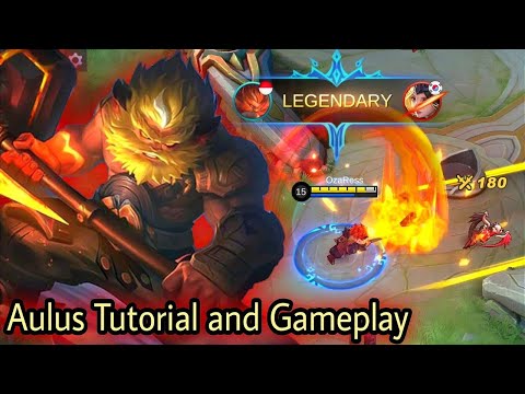 AULUS TUTORIAL FARMING QUICK LEVEL 12