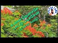 Ennai Thottu Alli Konda Cover Song Spb And Swarnalathal Illayaraja Song 90 Songs Kalpaktamil