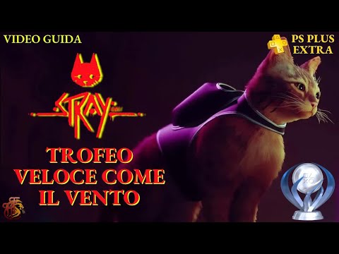 Come ottenere il Trofeo VELOCE COME IL VENTO - STRAY - Video Guida ITA