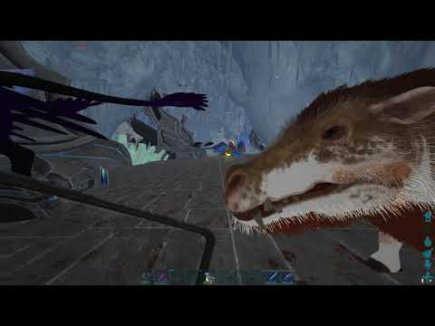 Chromies With Homies Cryos Stolen || Bobs Gone Wild