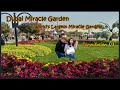 DUBAI MIRACLE GARDEN World S Largest Natural Garden Compilation 01