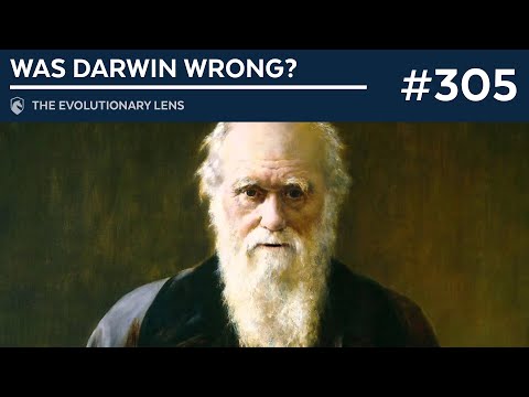 Was Darwin wrong? The 305th Evolutionary Lens with Bret Weinstein and Heather Heying
