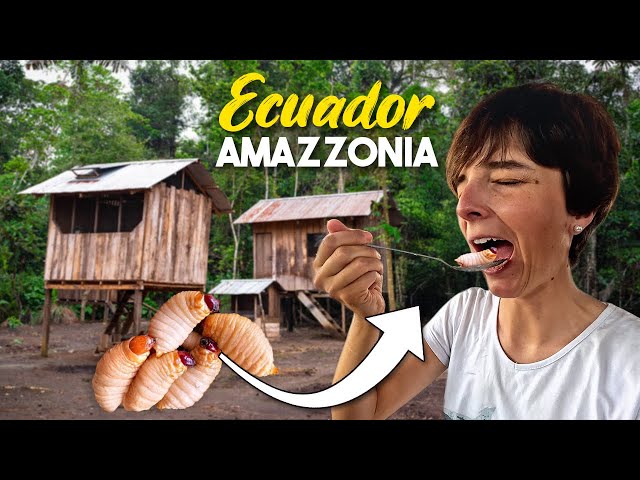 Primo giorno in Amazzonia