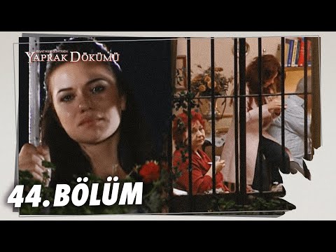 Yaprak Dökümü 44. Bölüm - Full Bölüm