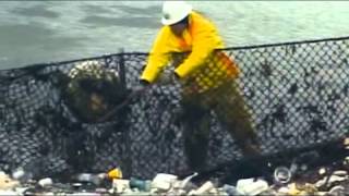 Stratovarius  Paradise Traducida al Español