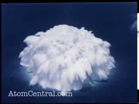 Hardtack Wahoo and Umbrella