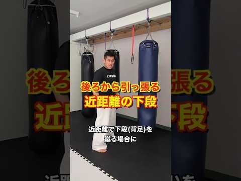 前に回すな！後ろから引っぱる近距離の下段#shorts #karate#kyokushin#ローキック#格闘技#空手#ローキック